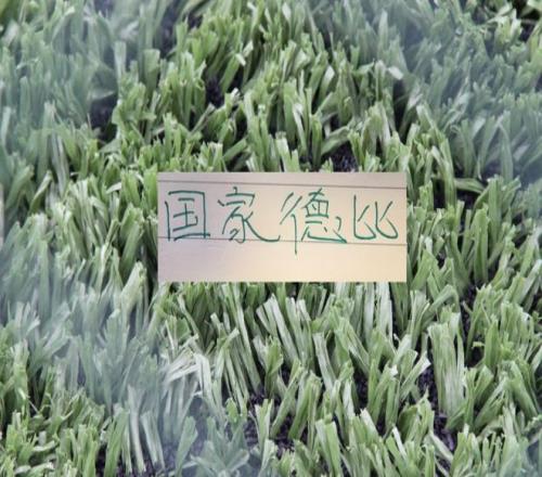 欧国联决赛,次回合西班,牙对荷兰,欧亿体育官网,OUYI,Sports,足球直播,篮球赛事,体育高清,NBA直播